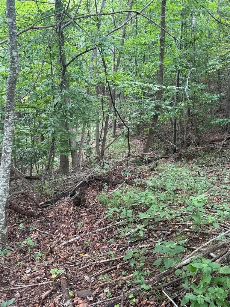 Land in Jefferson 2