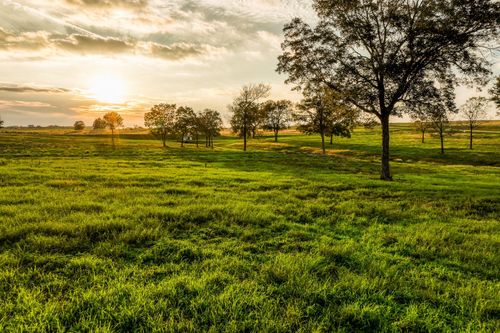 TBD Sunshine Lot 7 Court, Chappell Hill, TX, 77426 | Card Image
