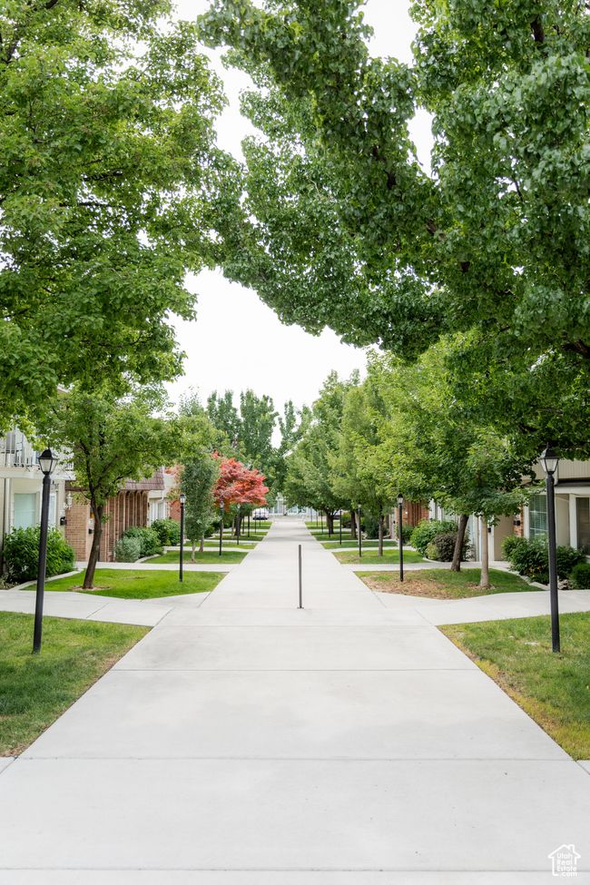 View of community | Image 34