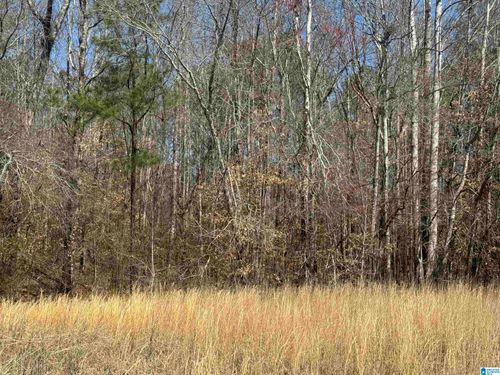 13-Lot 13 Mary Dr, ROANOKE, AL, 36274-8121 | Card Image