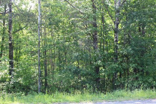 TBD Centerline Rd Nw, Solway, MN, 56678 | Card Image