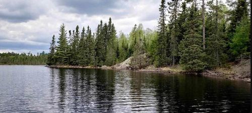 TBD Elbow Lk S, Cook, MN, 55723 | Card Image