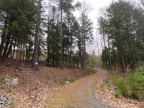 106 Mastin Rd, North Sutton, NH, 03260-5502 | Card Image