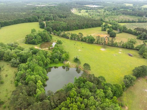 0 John Dennis Rd, Waynesboro, MS, 39367 | Card Image