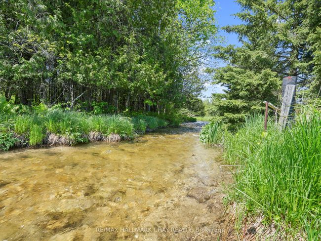 667280 20 Sideroad, House other with 5 bedrooms, 3 bathrooms and 6 parking in Mulmur ON | Image 5
