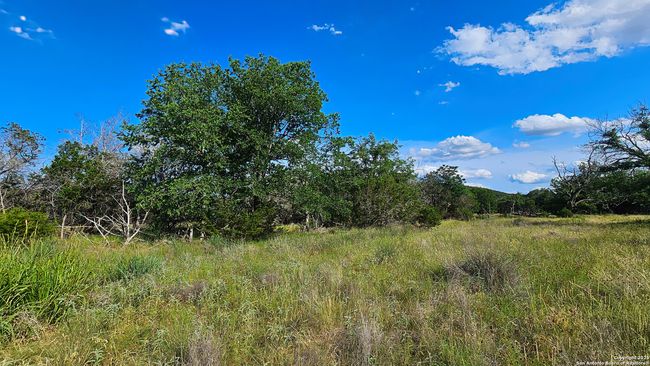 1205 Elm Creek Rd, Home with 0 bedrooms, 0 bathrooms and null parking in Medina TX | Image 10