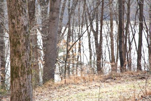 Lots 26 &amp; 27 Cherokee Road, Lucas, KY, 42156 | Card Image