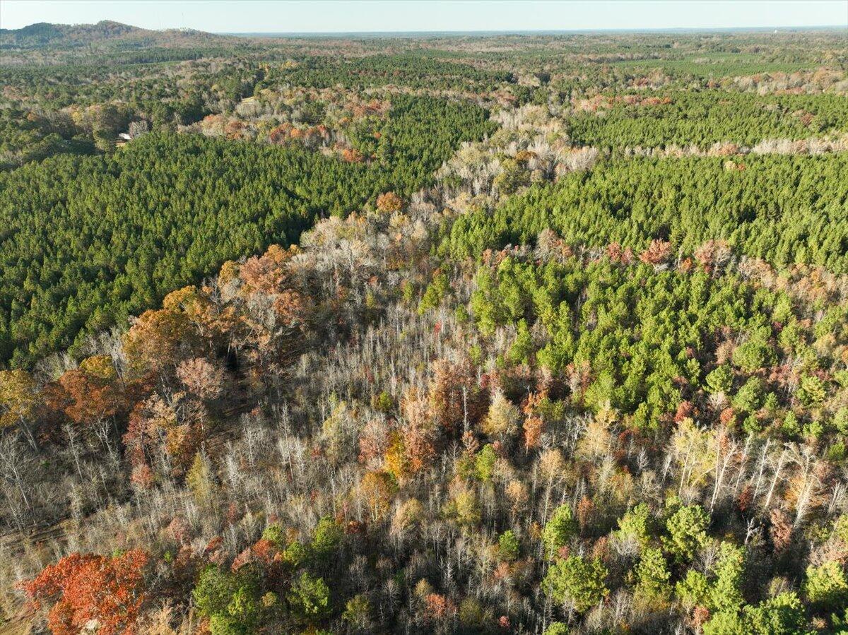 Land in Lincolnton 5