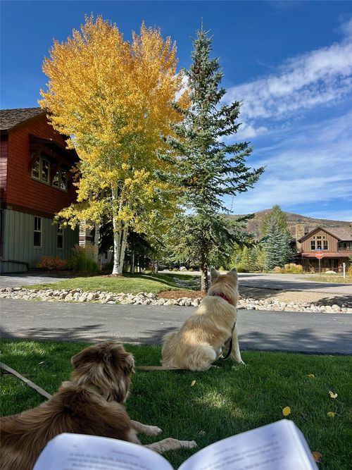 deed-f-1315 Turning Leaf Court, Steamboat Springs, CO, 80487 | Card Image