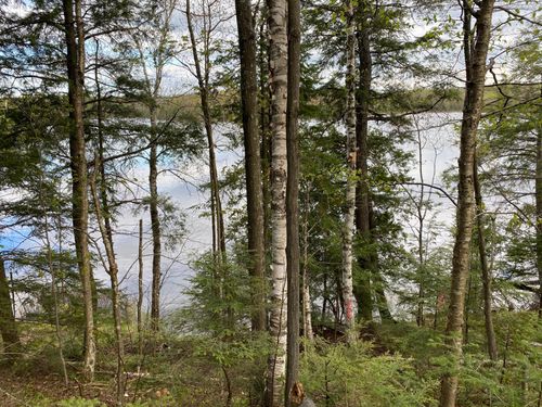 Lot #1 Channel Rd, Watersmeet, MI, 49969 | Card Image