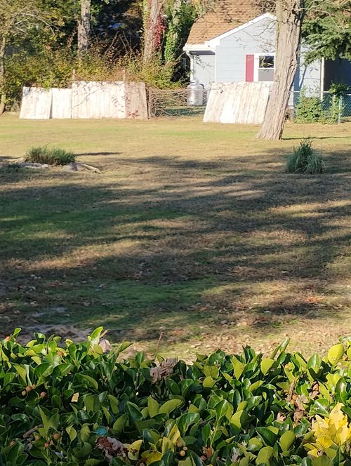 19 E Wilde Ave, Villas, NJ, 08251-1927 | Card Image