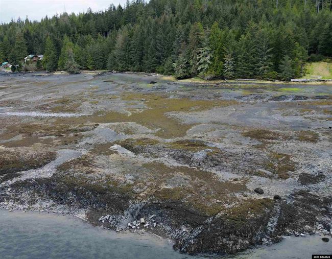 L3A &amp; 3B No Street Given, Home with 0 bedrooms, 0 bathrooms and null parking in Whale Pass AK | Image 9