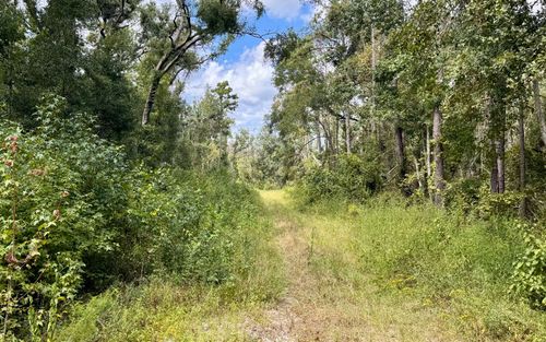 LOT45 Sw 32nd Ln, Jasper, FL, 32052 | Card Image