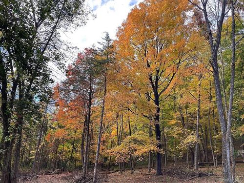 410 County Rt. 25, Stockport, NY, 12434 | Card Image