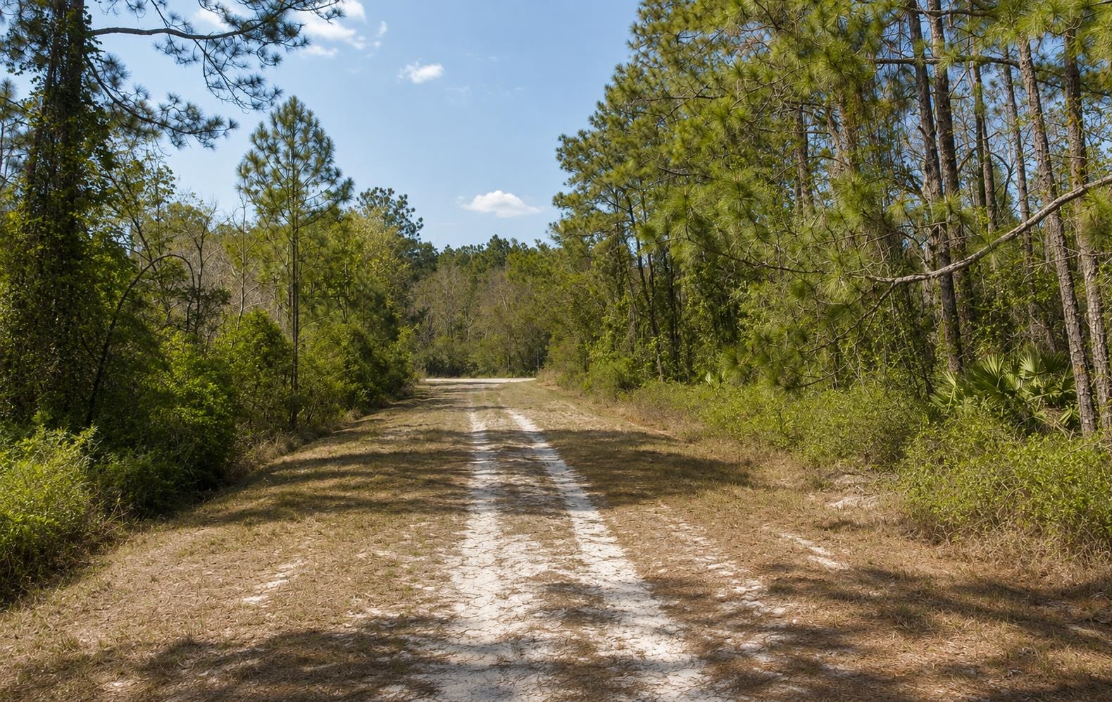 Land in Georgetown