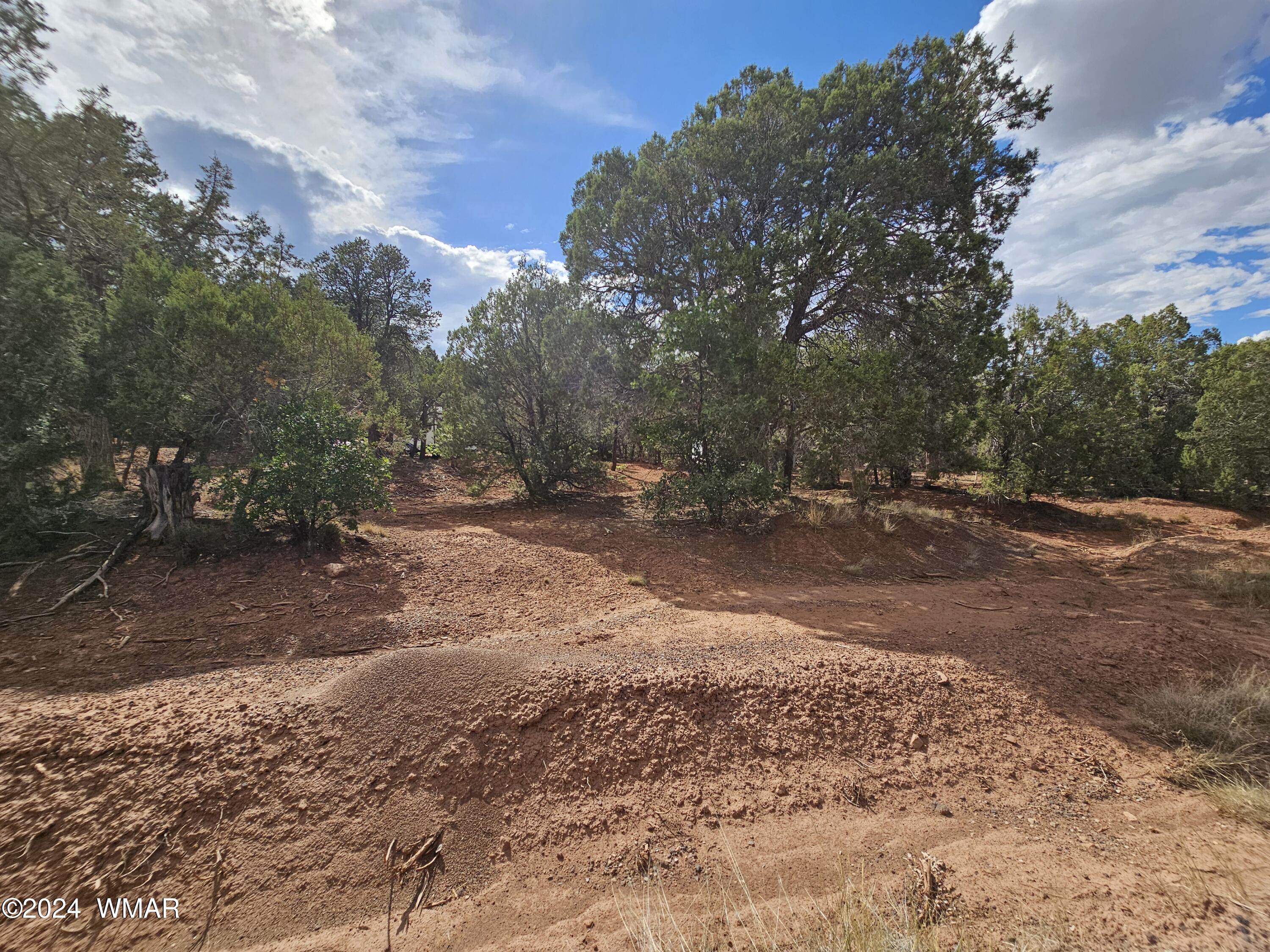 Heart Straight Ln, Show Low, AZ 85901