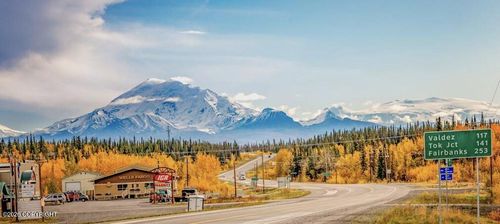 L10 Wandering Drive, Glennallen, AK, 99588 | Card Image