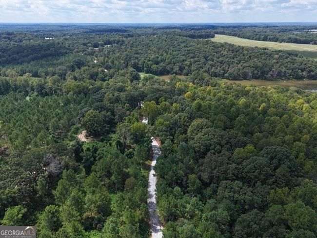 TRACT-11 - 0 Sanford Dr, Home with 0 bedrooms, 0 bathrooms and null parking in Nicholson GA | Image 4