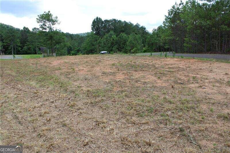 Land in Ellijay 5