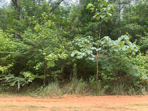 0 Alma, Lumberton, MS, 39455 | Card Image