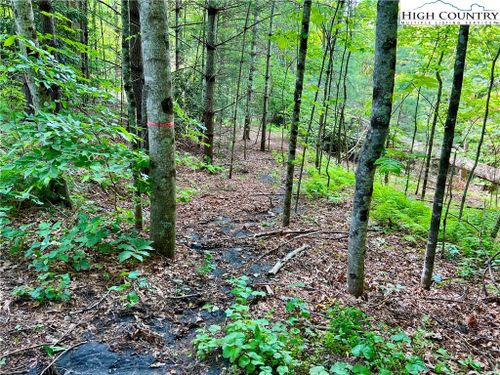 000 Crabtree Woods Road, Spruce Pine, NC, 28777 | Card Image