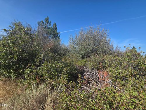 lot-24-0 Lakeland Rd, Chiloquin, OR, 97624 | Card Image