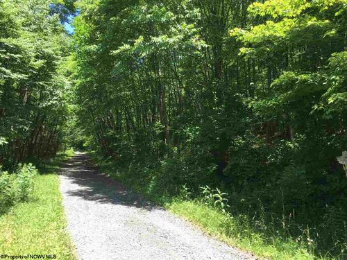 panoramic-drive-3 Stone Camp Ridge, Dryfork, WV, 26263 | Card Image