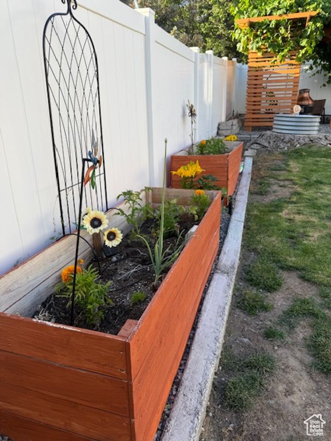 Exterior view of a vegetable garden | Image 37