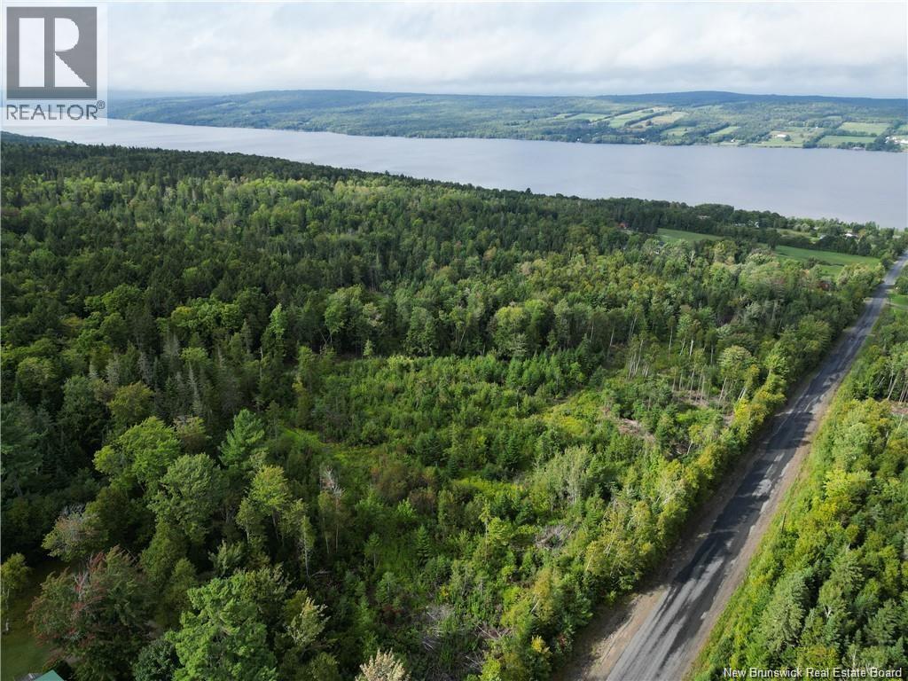 Land in Prince William 3