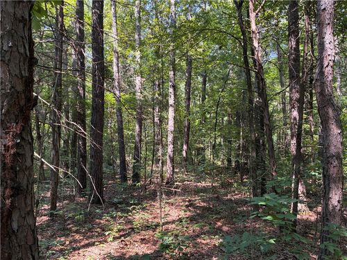 Marion County 6025 Bald Jesse, Yellville, AR, 72687 | Card Image