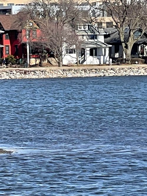 135 S Brittingham Pl, Madison, WI, 53715-1442 | Card Image