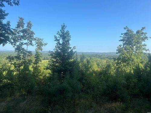 TBD Hwy 347 Highway, Bismarck, AR, 71929 | Card Image