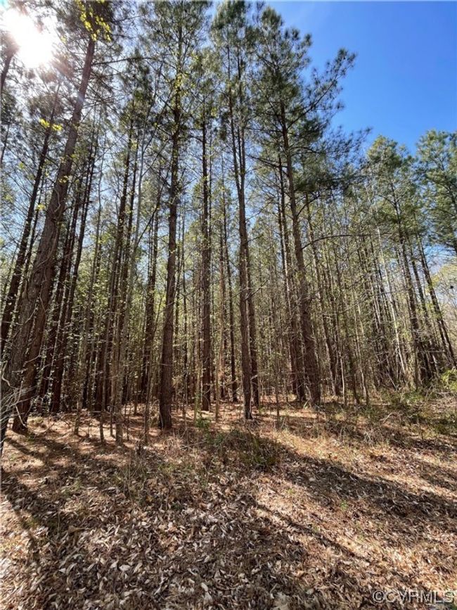 lot 2 Owens Creek Road, Home with 0 bedrooms, 0 bathrooms and null parking in Mineral VA | Image 3