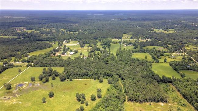 00 Lloyd Fregia Road, Home with 0 bedrooms, 0 bathrooms and null parking in Batson TX | Image 11