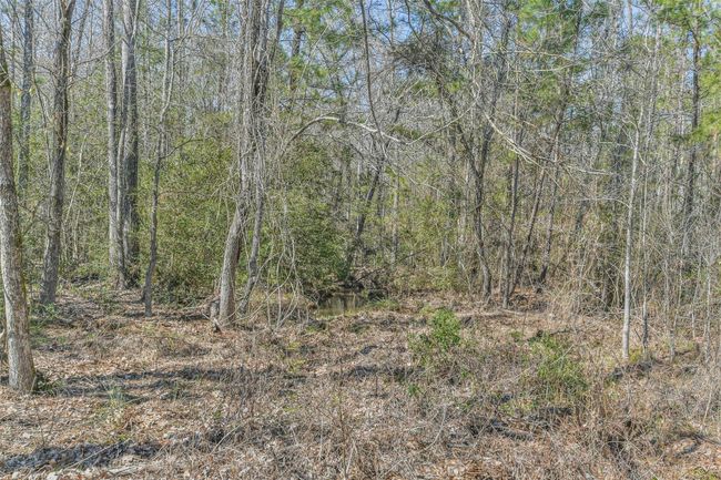 35 Old Sign Rd, Home with 1 bedrooms, 1 bathrooms and null parking in Midway TX | Image 36
