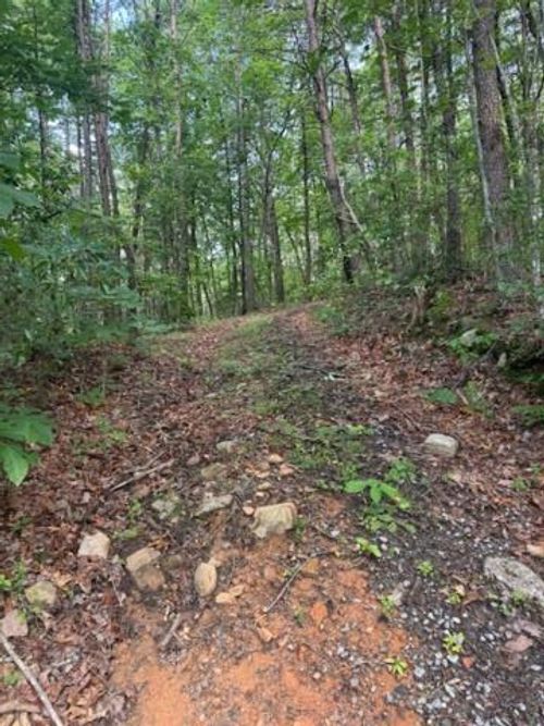 10.96 Ac Paramount Pl, Ellijay, GA, 30536 | Card Image