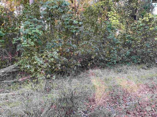 3551 Moonlight Rd, Williston, SC, 29853-3769 | Card Image
