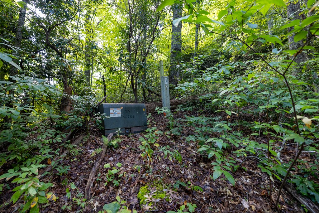 Land in Cullowhee 5