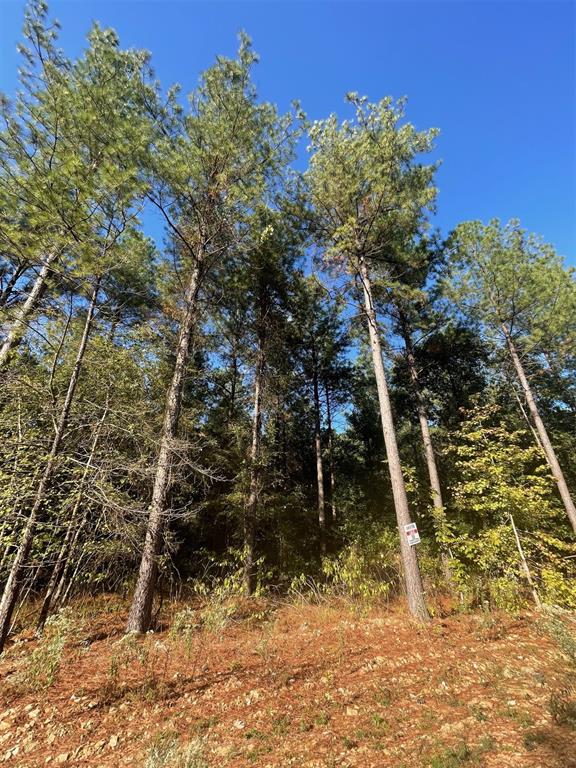 Land in Broken Bow