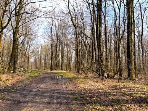 1700 28th Creek Rd, Falconer, NY, 14733-9743 | Card Image