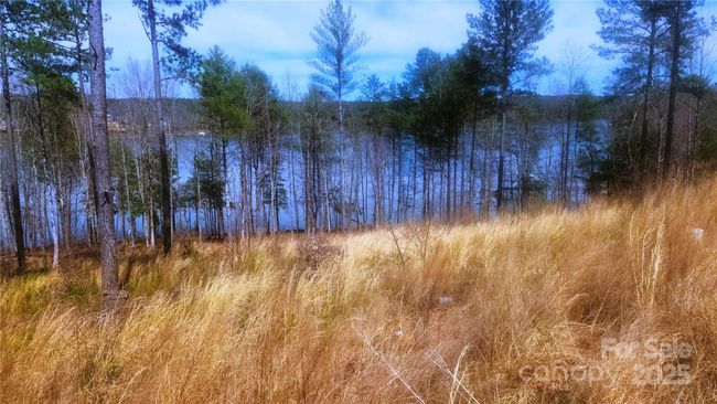 169 - 4083 Grays Peak Summit Summit, Home with 0 bedrooms, 0 bathrooms and null parking in Connelly Springs NC | Image 7