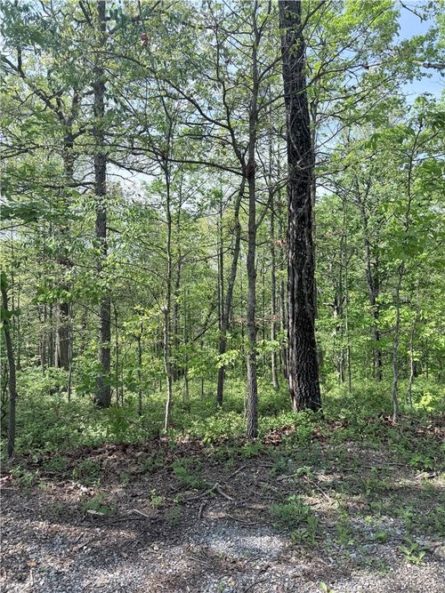TBD Nantwich Circle, Bella Vista, AR, 72714 | Card Image