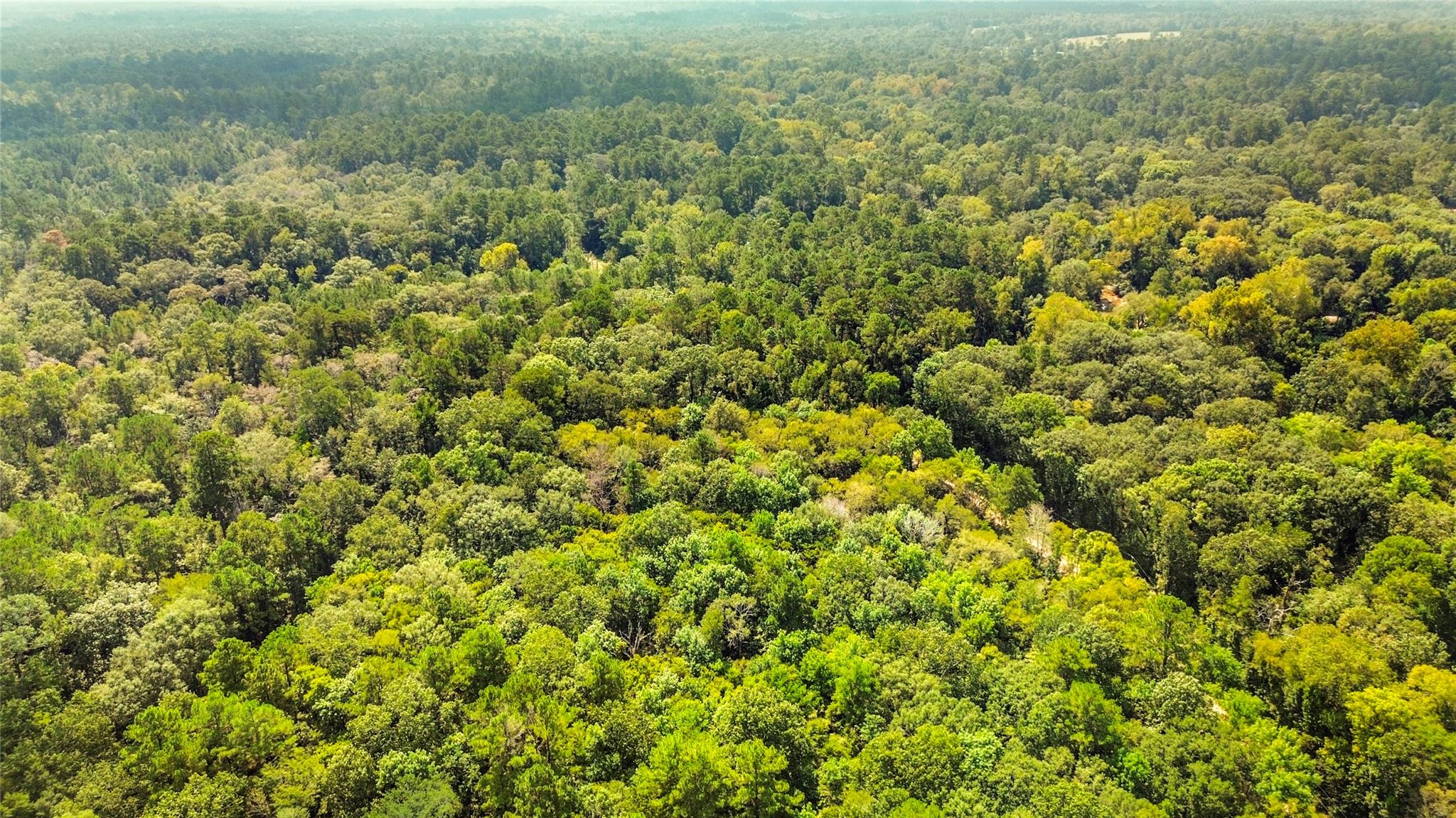 Land in Conroe 5