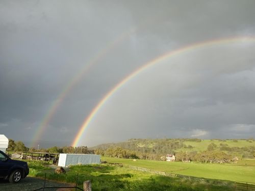 6736 Messinger Flat Road, Valley Springs, CA, 95252 | Card Image