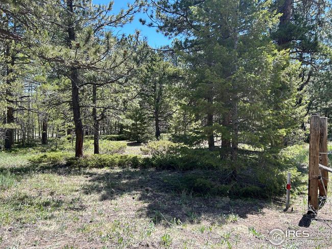 75 Overland Dr, Home with 0 bedrooms, 0 bathrooms and null parking in Ward CO | Image 17