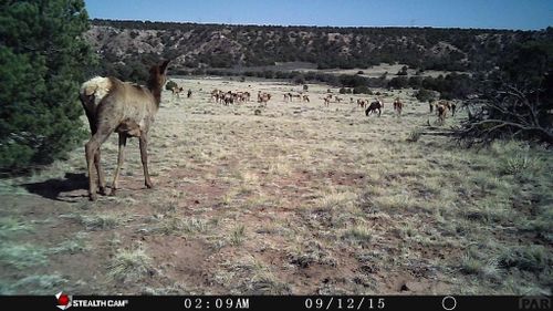 26-Lot #26 Colorado Land And Grazing, Gardner, CO, 81040 | Card Image