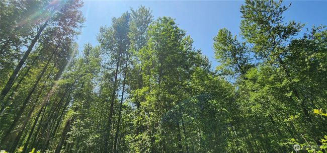 1230 Silverbrook Rd, Home with 0 bedrooms, 0 bathrooms and null parking in Randle WA | Image 25