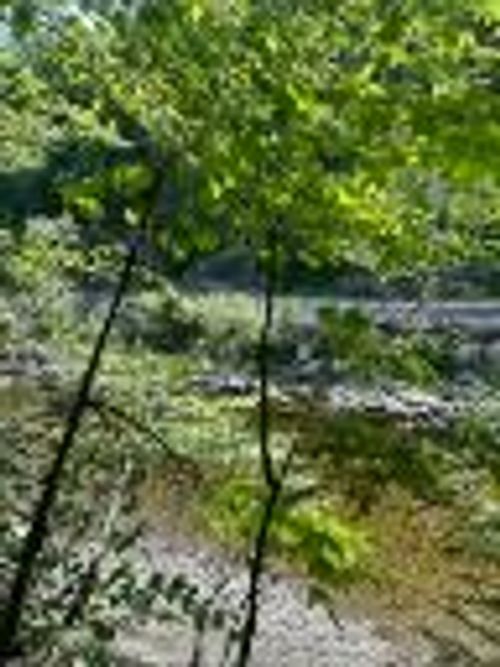 120 Claybrook Road, Kingfield, ME, 04947 | Card Image