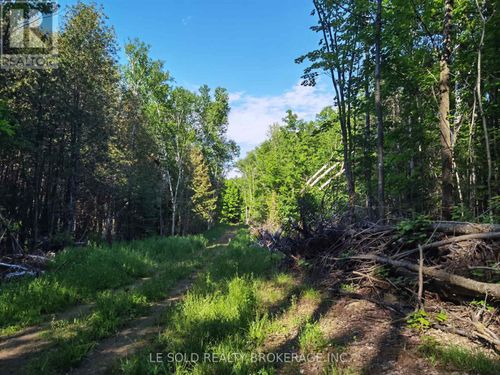 199 Hoffman Rd, Killaloe, ON, K0J2A0 | Card Image