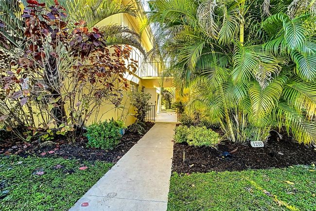 View of yard | Image 4